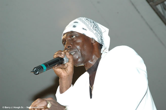 General trees - Red Stripe Reggae Sumfest 2005 - Rockers Night - July 20th, 2005 - Negril Travel Guide, Negril Jamaica WI - http://www.negriltravelguide.com - info@negriltravelguide.com...!