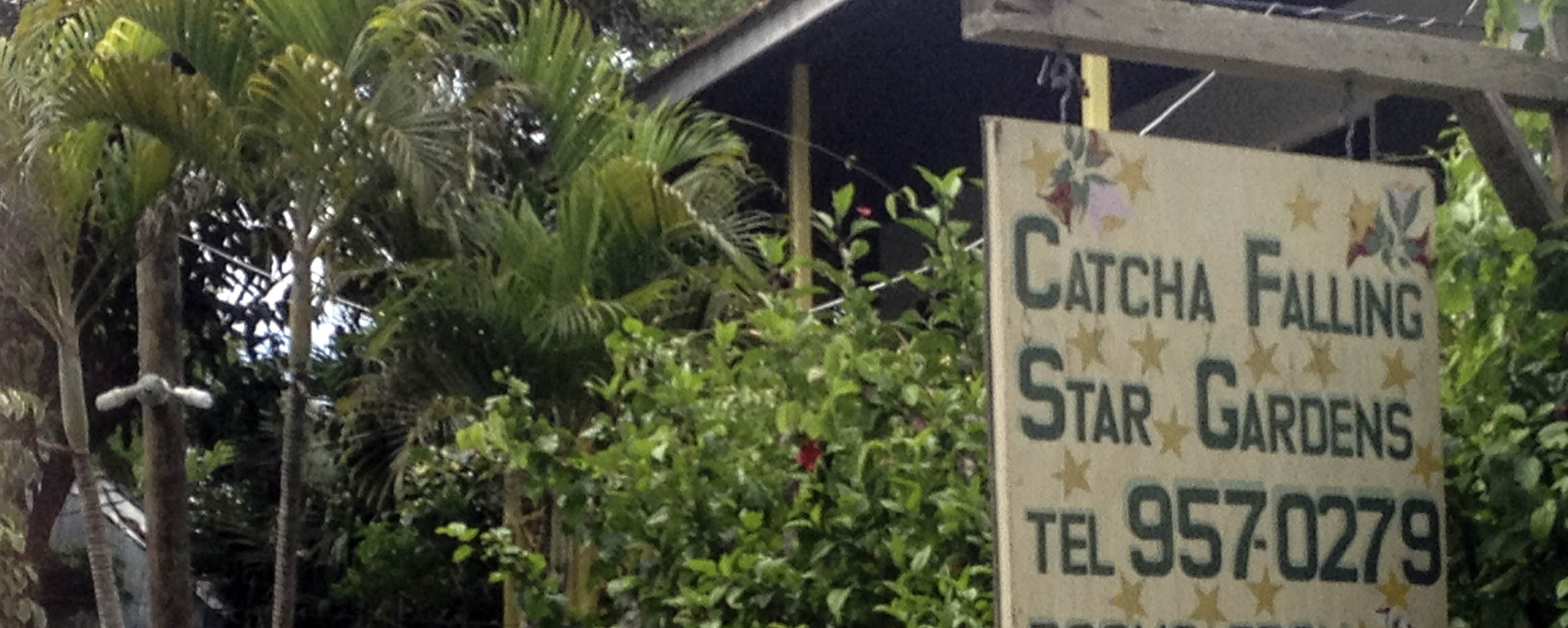 Catcha Falling Star Garden - Negril Jamaica