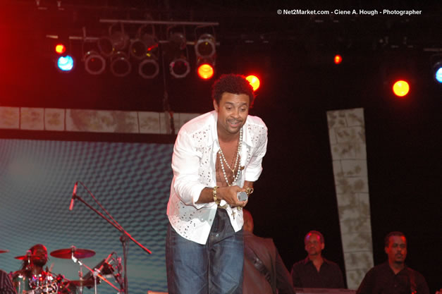 Preview of the Shaggy photo gallery