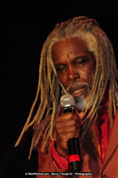 Air Jamaica Jazz and Blues Festival 2008 — Billy Ocean — photograph 93 of 237