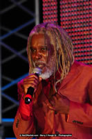 Air Jamaica Jazz and Blues Festival 2008 — Billy Ocean — photograph 125 of 237