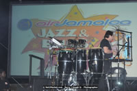Air Jamaica Jazz and Blues Festival 2008 — Diana Ross — photograph 1 of 240