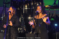 Air Jamaica Jazz and Blues Festival 2008 — Diana Ross — photograph 41 of 240