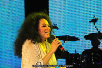 Air Jamaica Jazz and Blues Festival 2008 — Diana Ross — photograph 83 of 240