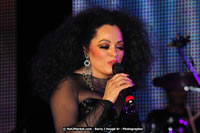 Air Jamaica Jazz and Blues Festival 2008 — Diana Ross — photograph 120 of 240