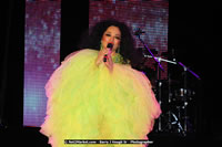 Air Jamaica Jazz and Blues Festival 2008 — Diana Ross — photograph 130 of 240