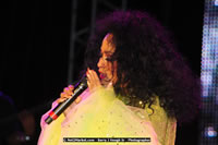 Air Jamaica Jazz and Blues Festival 2008 — Diana Ross — photograph 135 of 240