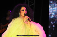 Air Jamaica Jazz and Blues Festival 2008 — Diana Ross — photograph 138 of 240