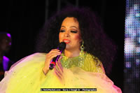 Air Jamaica Jazz and Blues Festival 2008 — Diana Ross — photograph 140 of 240