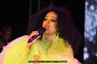 Air Jamaica Jazz and Blues Festival 2008 — Diana Ross — photograph 141 of 240