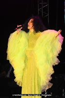 Air Jamaica Jazz and Blues Festival 2008 — Diana Ross — photograph 143 of 240