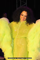 Air Jamaica Jazz and Blues Festival 2008 — Diana Ross — photograph 145 of 240