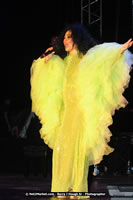 Air Jamaica Jazz and Blues Festival 2008 — Diana Ross — photograph 146 of 240