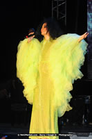 Air Jamaica Jazz and Blues Festival 2008 — Diana Ross — photograph 147 of 240