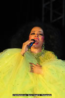 Air Jamaica Jazz and Blues Festival 2008 — Diana Ross — photograph 149 of 240
