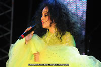 Air Jamaica Jazz and Blues Festival 2008 — Diana Ross — photograph 157 of 240