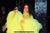 Air Jamaica Jazz and Blues Festival 2008 — Diana Ross — photograph 159 of 240