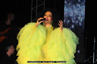 Air Jamaica Jazz and Blues Festival 2008 — Diana Ross — photograph 161 of 240