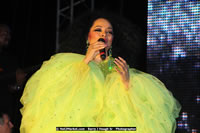 Air Jamaica Jazz and Blues Festival 2008 — Diana Ross — photograph 162 of 240