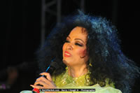Air Jamaica Jazz and Blues Festival 2008 — Diana Ross — photograph 165 of 240