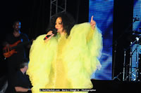 Air Jamaica Jazz and Blues Festival 2008 — Diana Ross — photograph 166 of 240