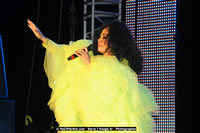 Air Jamaica Jazz and Blues Festival 2008 — Diana Ross — photograph 168 of 240