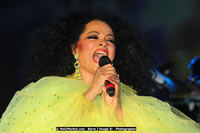 Air Jamaica Jazz and Blues Festival 2008 — Diana Ross — photograph 172 of 240
