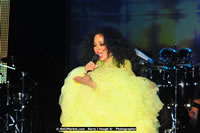 Air Jamaica Jazz and Blues Festival 2008 — Diana Ross — photograph 174 of 240
