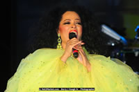 Air Jamaica Jazz and Blues Festival 2008 — Diana Ross — photograph 175 of 240