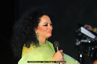 Air Jamaica Jazz and Blues Festival 2008 — Diana Ross — photograph 179 of 240