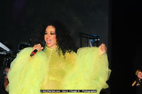 Air Jamaica Jazz and Blues Festival 2008 — Diana Ross — photograph 182 of 240
