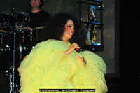 Air Jamaica Jazz and Blues Festival 2008 — Diana Ross — photograph 185 of 240