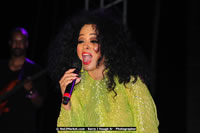 Air Jamaica Jazz and Blues Festival 2008 — Diana Ross — photograph 194 of 240