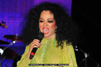 Air Jamaica Jazz and Blues Festival 2008 — Diana Ross — photograph 200 of 240