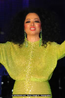 Air Jamaica Jazz and Blues Festival 2008 — Diana Ross — photograph 202 of 240