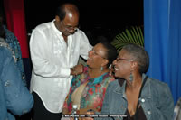 Air Jamaica Jazz and Blues Festival 2008 — Friday Festival Coverage — photograph 59 of 72