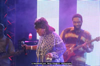 Air Jamaica Jazz and Blues Festival 2008 — Koko Taylor — photograph 16 of 81