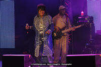 Air Jamaica Jazz and Blues Festival 2008 — Koko Taylor — photograph 34 of 81