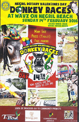 Negril Rotary Club Valentine's Day Donkey Races 2016 at WAVZ