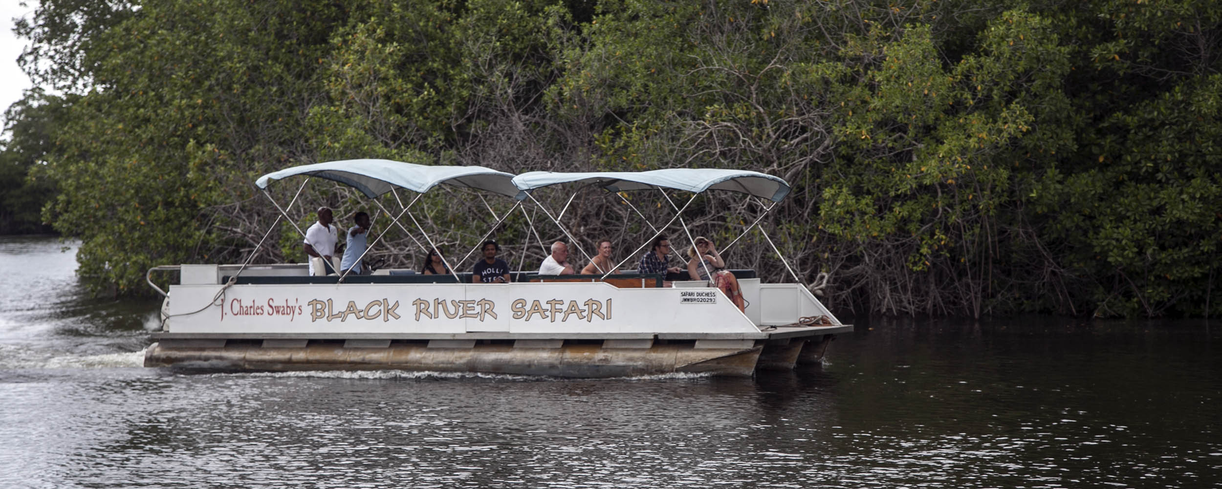 Black River Safari - Jamaica